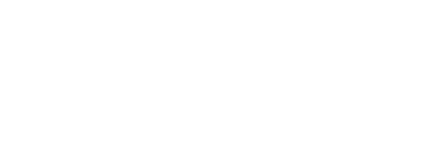 NSM logo